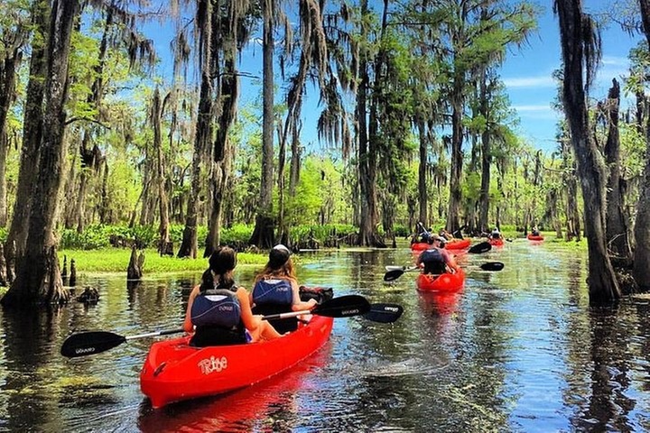 Small-Group Manchac Swamp Kayak Tour