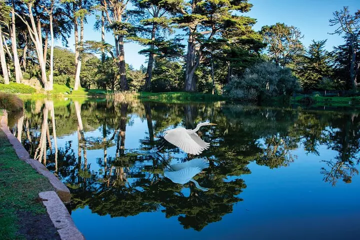 San Francisco Golden Gate Park Tour