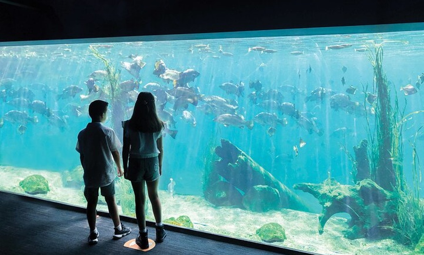 Image 6: Sydney Zoo General Entry Admission Ticket