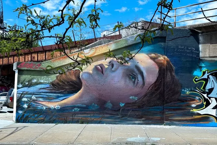 Offbeat Fulton Market Graffiti and Murals Street Art Tour - Primary Image