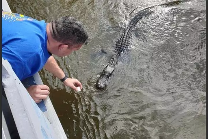 Destrehan Plantation and Swamp Tour from New Orleans