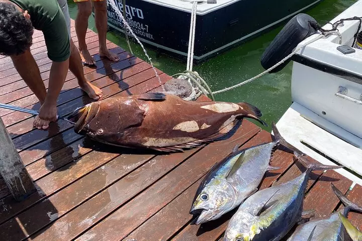 Private fishing charter Bertram 31ft 6 pax max if you don't fish yo...