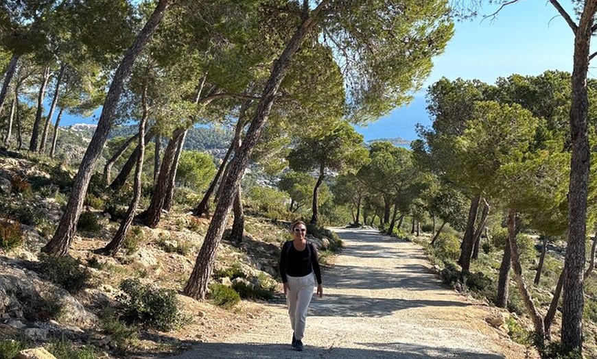 Image 24: Sierra de Tramuntana caminata con pequeño picnic