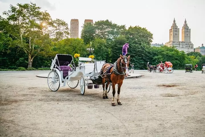 NYC Central Park & Rockefeller Center Private Horse Carriage Tour