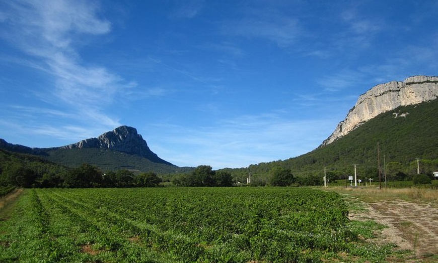 Image 11: Visite d'une demi-journée en petit groupe, vins du Languedoc, Pic S...