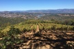 8-Hour Exclusive Wine Tour Experience for up to 6 Guests / Napa-Sonoma - Second Medium