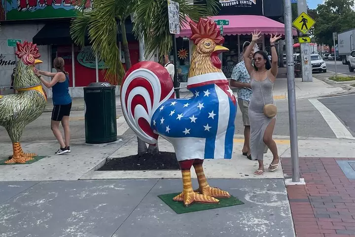 Miami Cultural city tour, Little Havana & Wynwood exploration