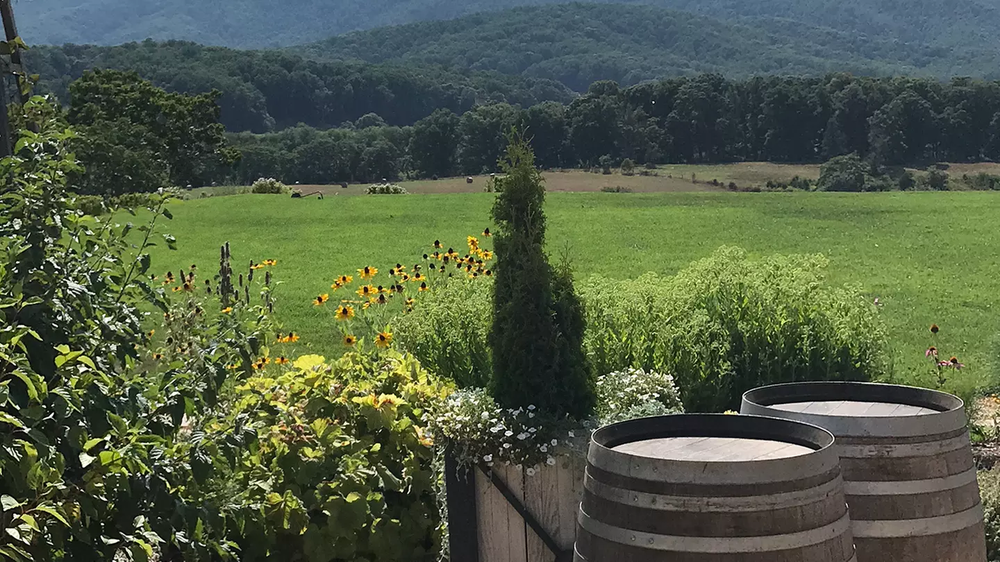 Walton's Mountain Wine Trail Tour - Saturday, Mar 2, 2019 / 7:00am - Primary Image