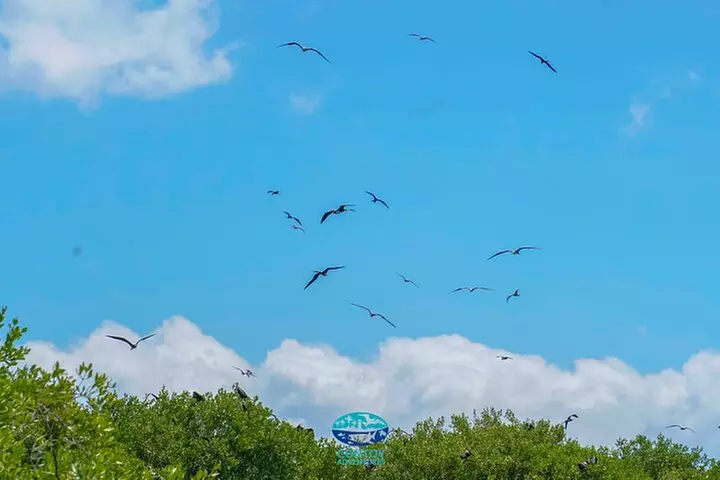 Isla Contoy Eco Adventure