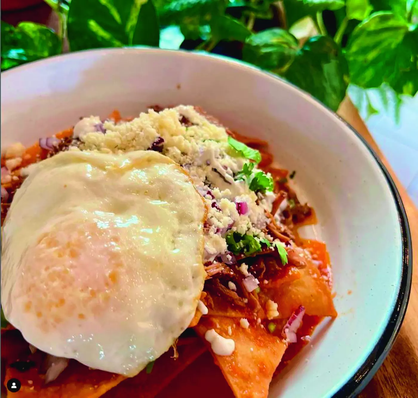 $15 For $30 Worth Of Mexican Cuisine - Primary Image