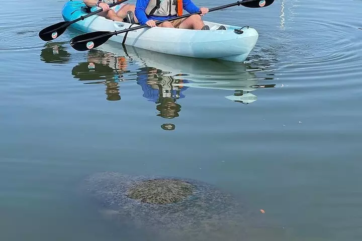 Wildlife Refuge Dolphin, Manatee & Mangrove Kayak or Paddleboarding...