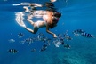 Snorkeling at Hanauma Bay - Second Medium