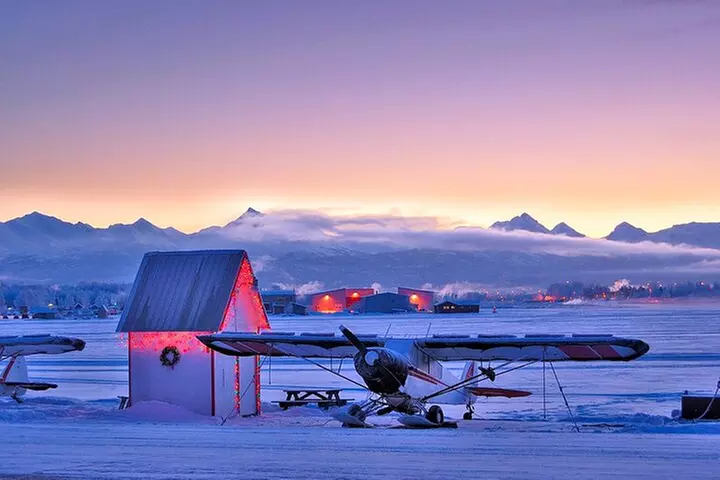 Anchorage's Winter City Tour = Samples + Stops + WildLife