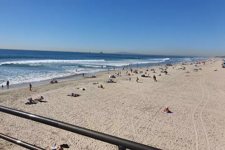 Whale-Watching and Orange County Beaches Tour from Anaheim