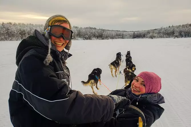 Dog Sled Adventures - Primary Image