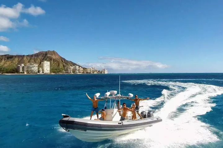 Private Snorkeling and Wildlife on The Adventure Boat - Primary Image