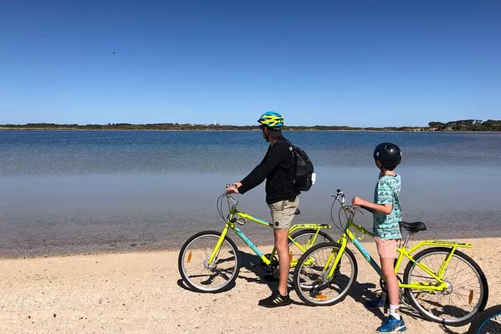 Rottnest Island Fast Ferry from Hillarys Boat Harbour Including Bike Hire - Image 7