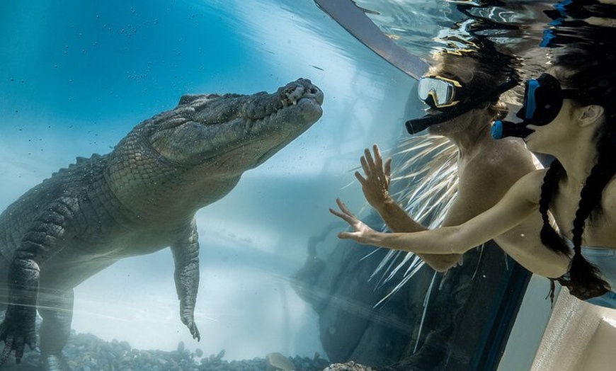 Image 2: Wildlife Habitat Port Douglas