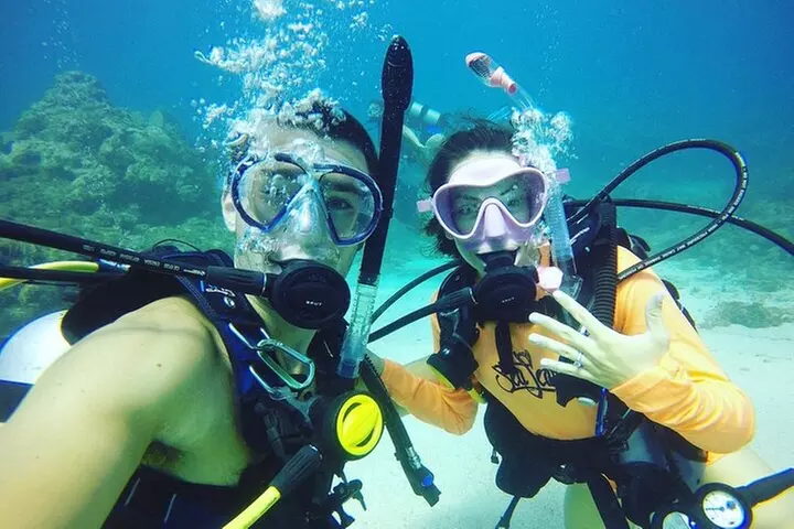 Learn to Scuba Dive with a Professional Instructor in Key Largo - A...