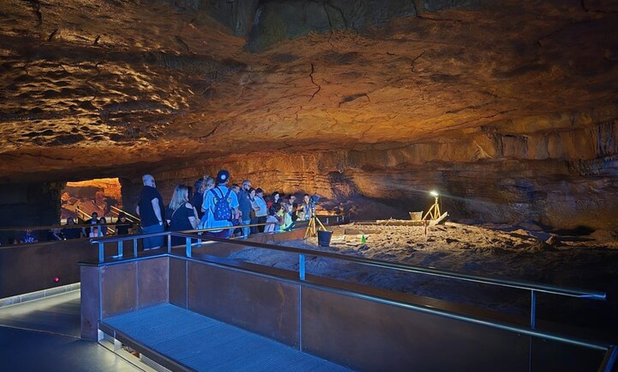 Image 6: Visita Privada a Pie al Museo de Altamira y la Neocueva