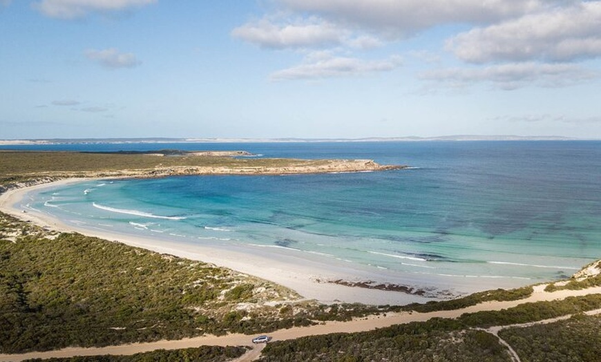 Image 7: One Day Port Lincoln Tour - Tasting Eyre