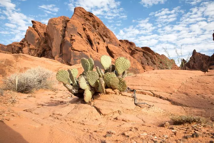 Valley of Fire and Lost City Museum Tour from Las Vegas