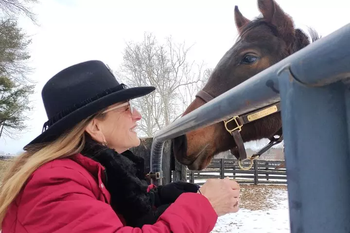 Half-Day Thoroughbred Horse Farm Tour in Kentucky
