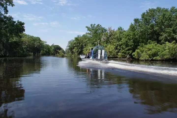 Oak Alley Plantation and Large Airboat Swamp Tour from New Orleans