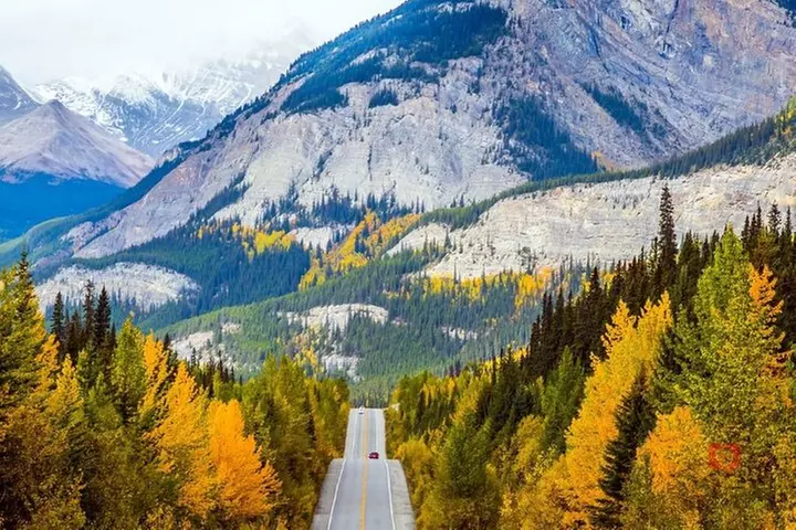 Self-Guided Audio Driving Tour in Icefields Parkway