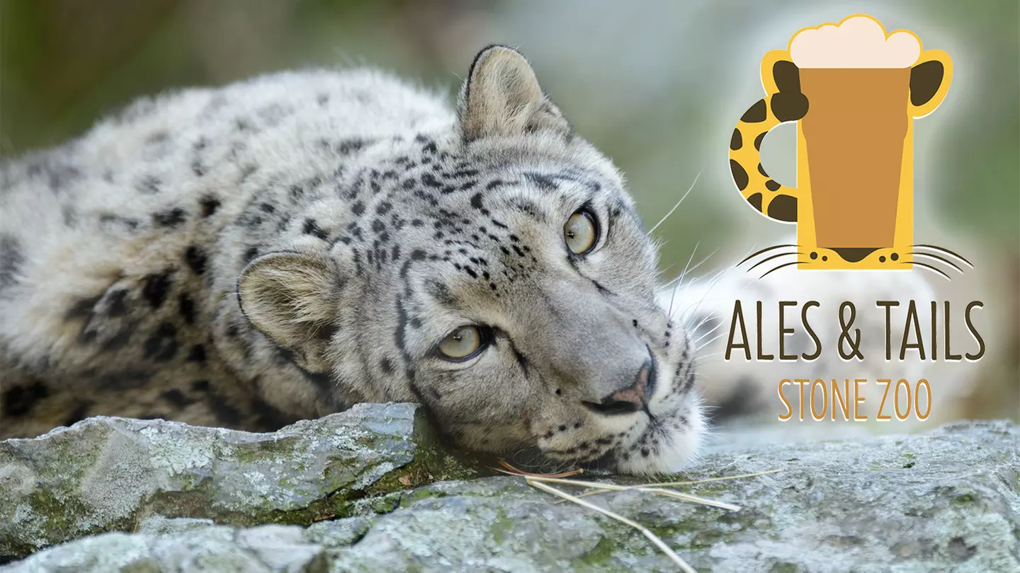 "Ales & Tails" - Saturday, Sep 14, 2019 / 5:00pm - Primary Image