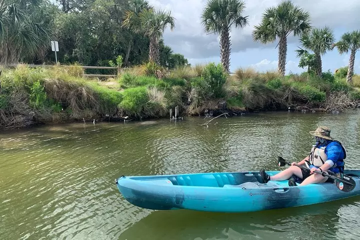Wildlife Refuge Manatee, Dolphin & Mangrove Kayak or Paddleboarding...