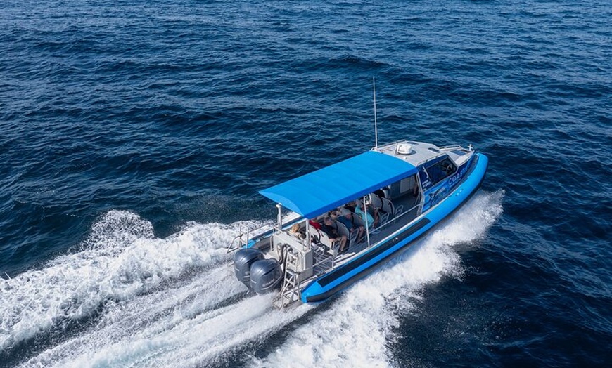 Image 7: Ocean Explorer Tour from Lake Macquarie