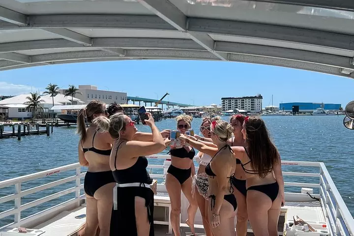 2 HR Dolphin Tour for 7 people