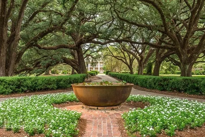 Oak Alley Plantation and Small Airboat Tour from New Orleans