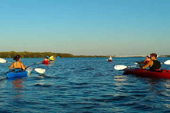 Kayak Adventure of Shell Key Preserve & Island with a Local