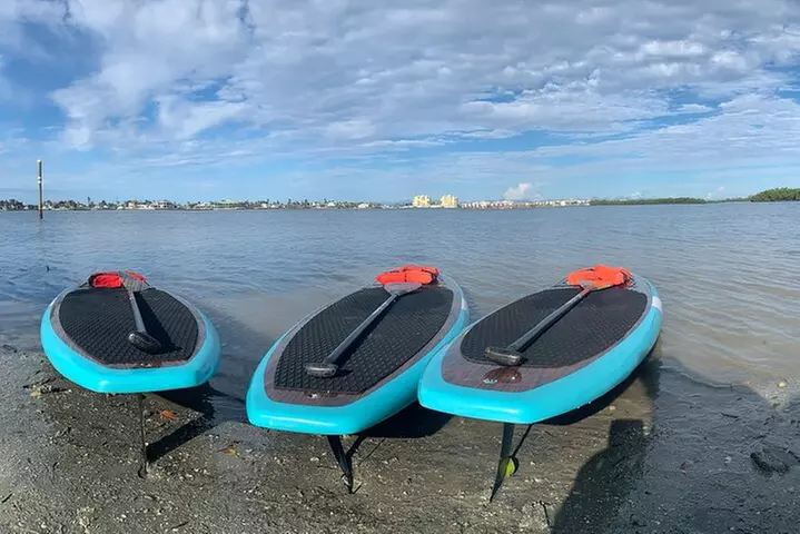 Dolphin and Manatee Adventure Tour of Naples with Florida History