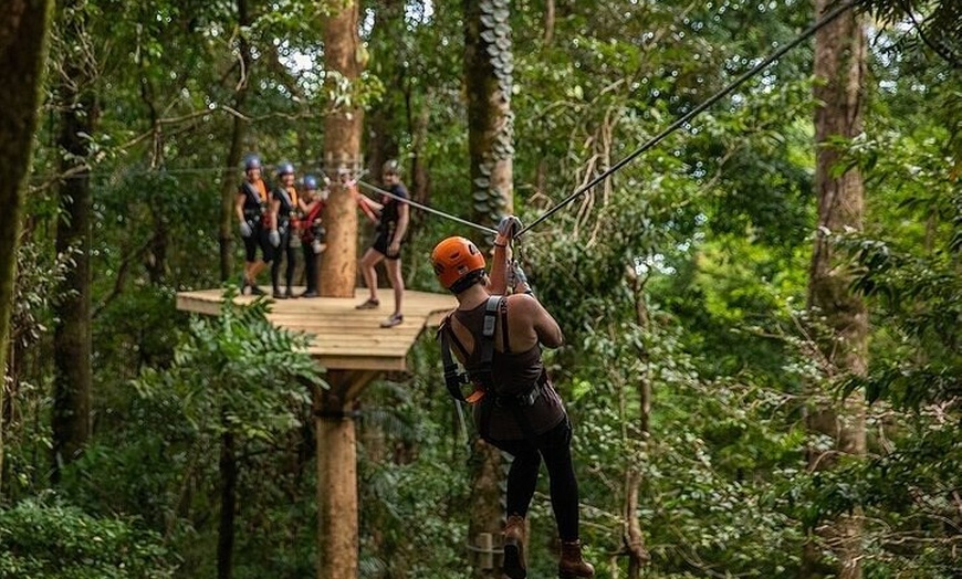 Image 5: Ziplining Cape Tribulation with Treetops Adventures