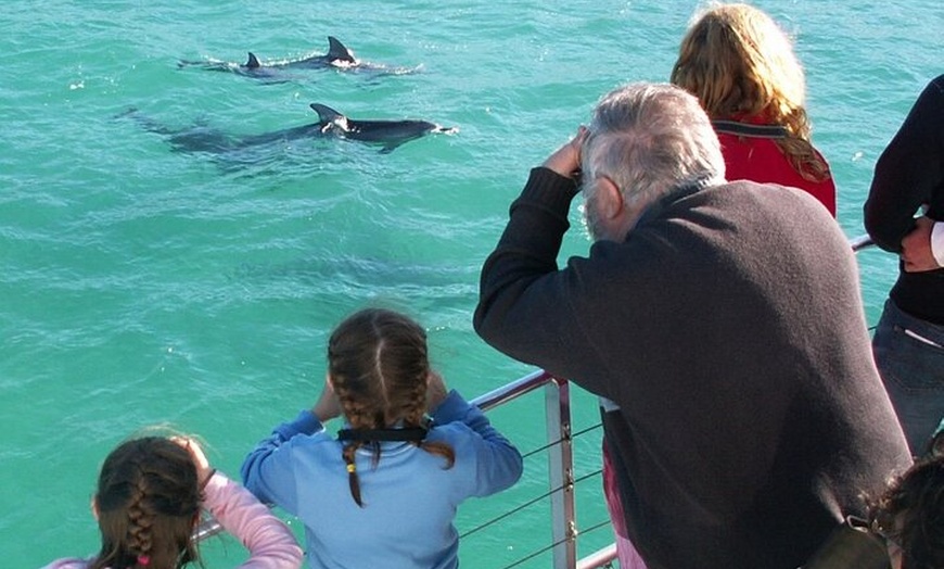 Image 5: Jervis Bay Dolphin Watch Cruise