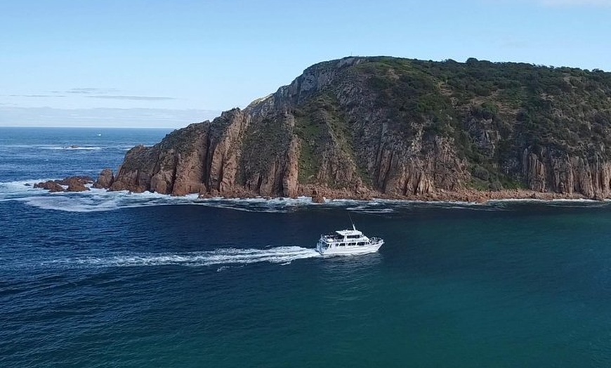 Image 1: Cape Woolamai Sightseeing Cruise from San Remo