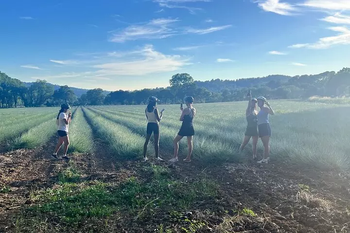 VTT électrique - Aix en Provence