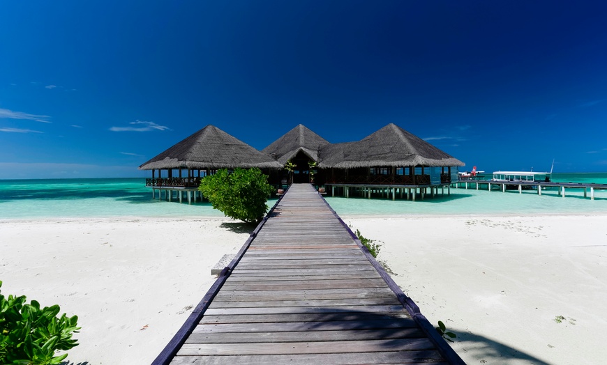 Image 11: ✈ MALDIVES | Meemu Atoll - Medhufushi Island Resort 4* - Spa