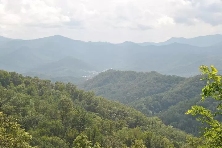 Guided Horseback Ride through Flame Azalea and Fern Forest