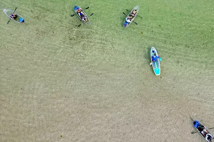Clear Kayak Ecotour at Robinson Preserve in Bradenton, Florida