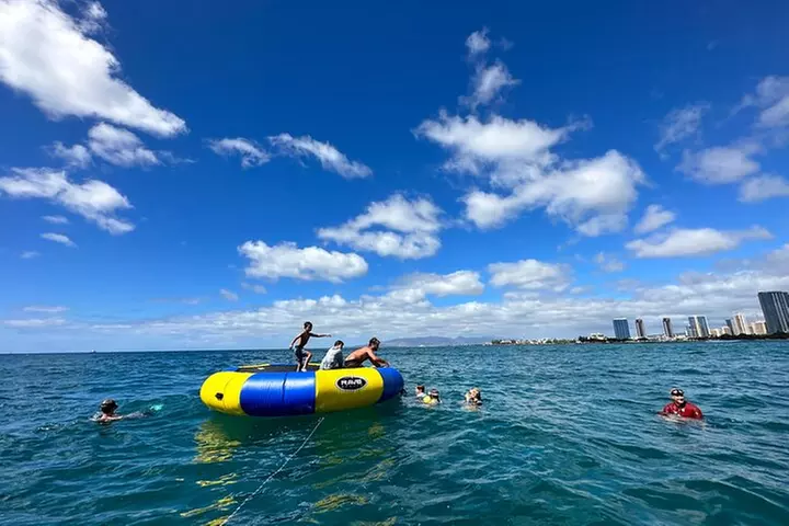 Waikiki, Hawaii: Deluxe Snorkel and Wildlife Cruise