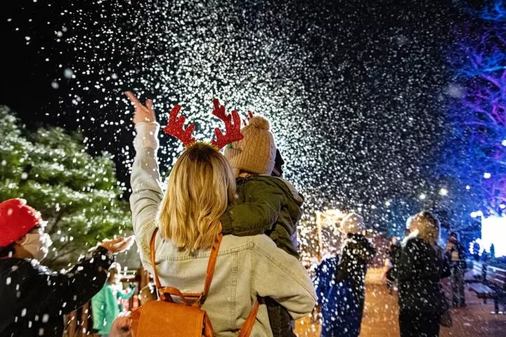 Winter City Lights Experience Washington DC - Primary Image