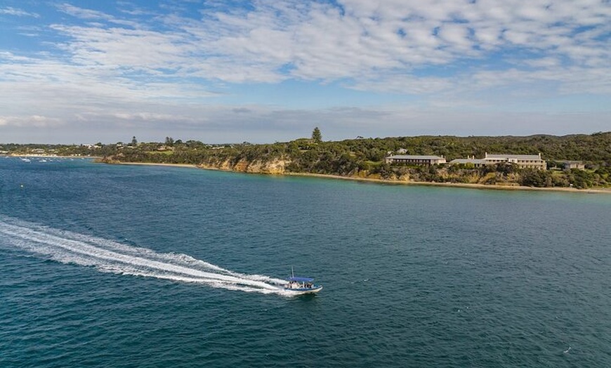 Image 4: Seal and Dolphin Watching Eco Boat Cruise Mornington Peninsula