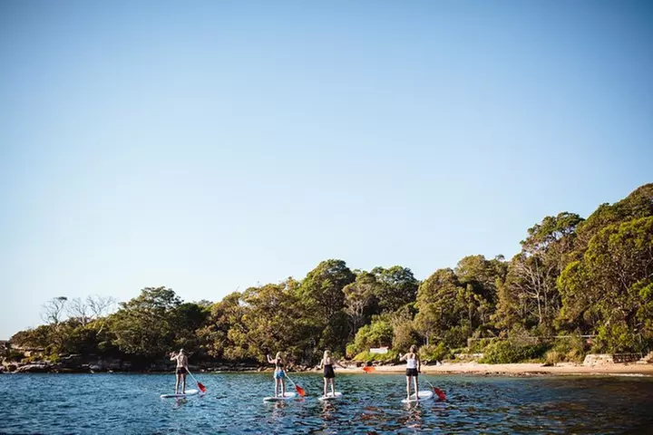 Stand Up Paddle Board Hire - 2 Hours
