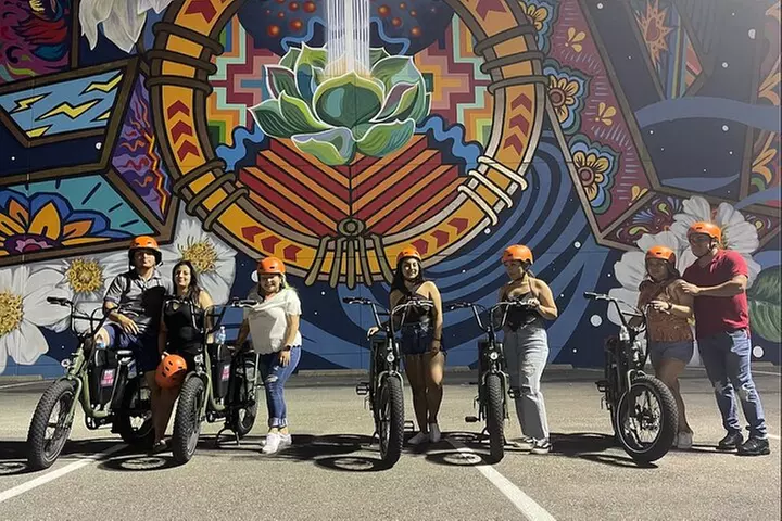 Smart Tour: Downtown Dallas E-Bike Tour