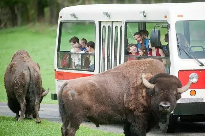 Northwest Trek Wildlife Adventure Tour-From Tacoma - Primary Image