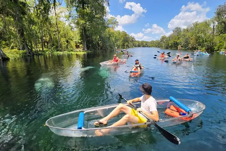 Clear Kayak or Paddleboard Manatee Adventure
